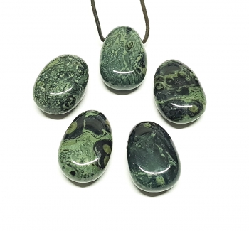 Tigerauge Brosche in 925 Silber ca. 28 x 20 mm