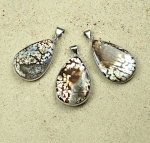 Paua Muschel Anh�nger mit fac. Peridot in 925 Silber gefasst
