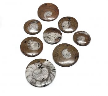 5er Set Ammoniten in Matrix Anhnger gebohrt ca. 30-45 mm