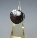 Ring aus Holz mit Operculum in 925 Silber Verzierung