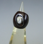 Ring aus Holz mit Operculum in 925 Silber Verzierung