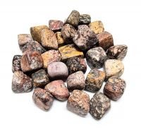 LeopardenjaspisTrommelsteine aus Mexiko in Gr. L/XL  VE = 500 gr.